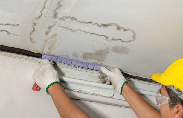 Reliable Mold Remediation contractor in Yorktown, TX by Water Damage Irwin